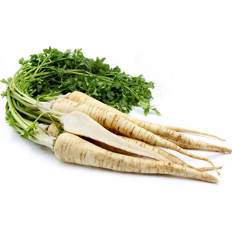 Benih Bibit Biji - Parsley Root Hamburg Kinga Sweet Herb Seeds - IMPORT