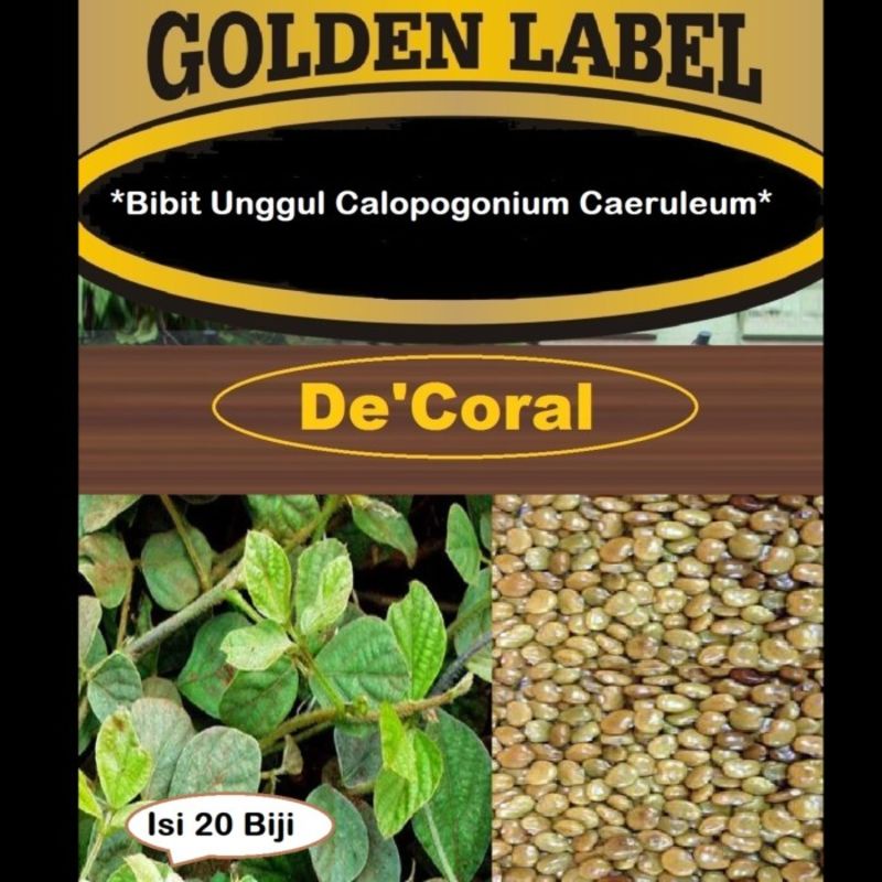 Bibit Unggul Calopogonium Caeruleum | Benih Calopogonium Caeruleum