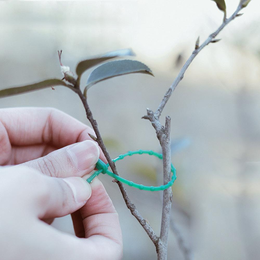 [Elegan] Klip Penyangga Tanaman Plastik Tahan Lama Panjat Pohon Greenhouse Tomat Vine Clamp