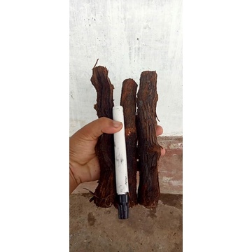 cutting anggur alfonso terbesar udah kalus