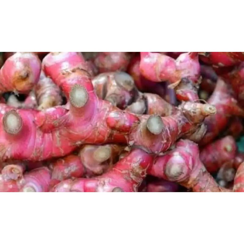 

Jahe Merah Premium /500gram