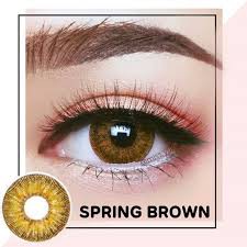 Softlens Spring by Dreamcolor1 DC1 Gray Brown Normal Minus kontak Lensa botol