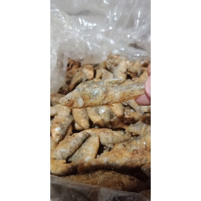 

Iwak cetul dan wader kiloan/1kg