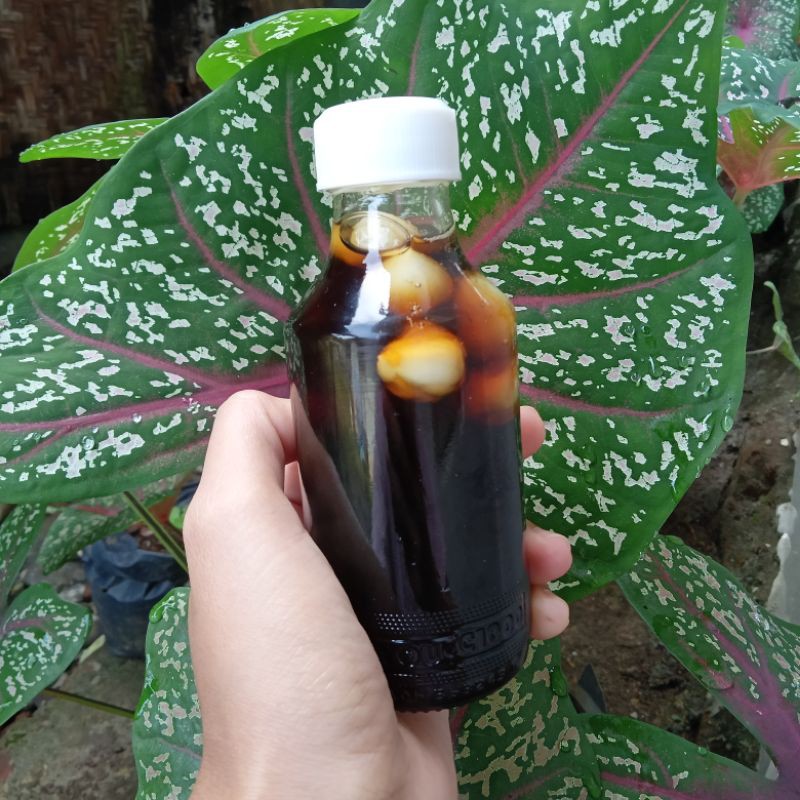 

madu klanceng + bawang tunggal