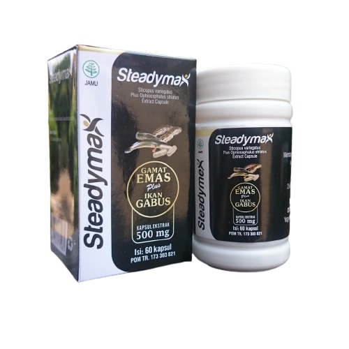 Steadymax kapsul ekstrak ikan kutuk dan gamat emas