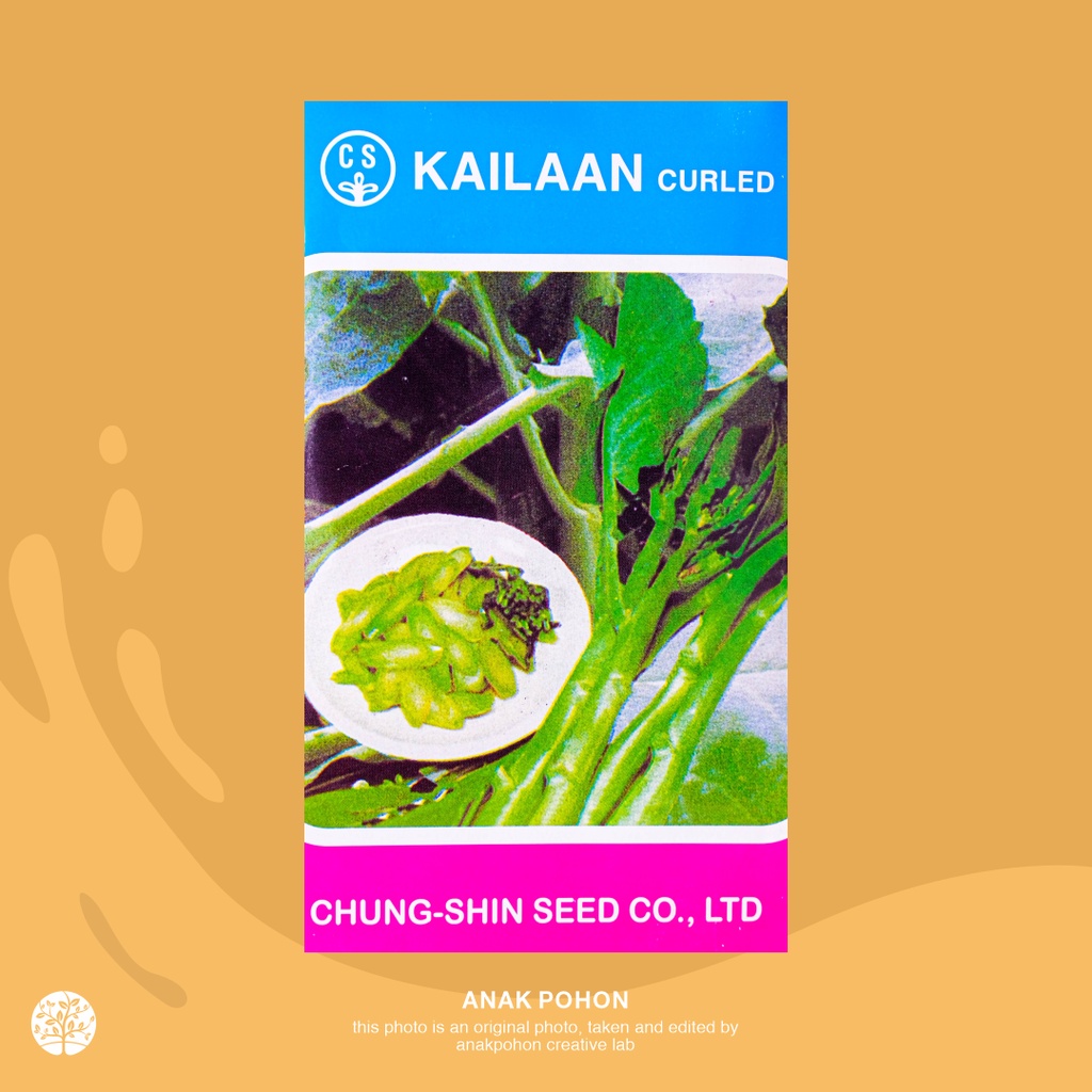 (1 PACK) Kailaan Curled Kailan Batang Chinese Kale - Chung Shin Seed Winon - 10 GRAM