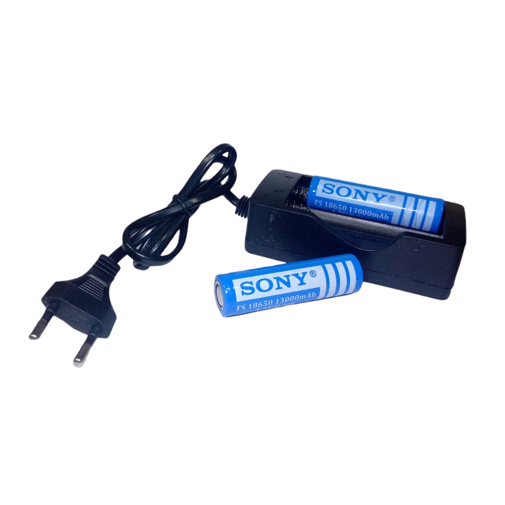 Paket Casan 2 Slot + 2 PCS Baterai Li-ion FS 18650 13000mAh 4.2V Warna Biru