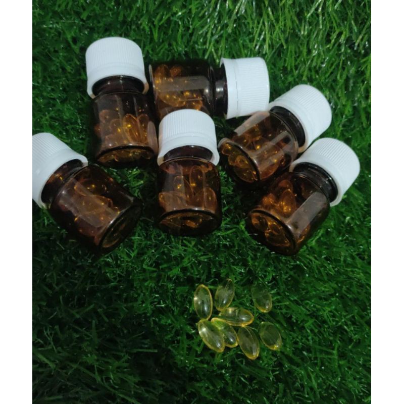Pil Hormon Estrogen
