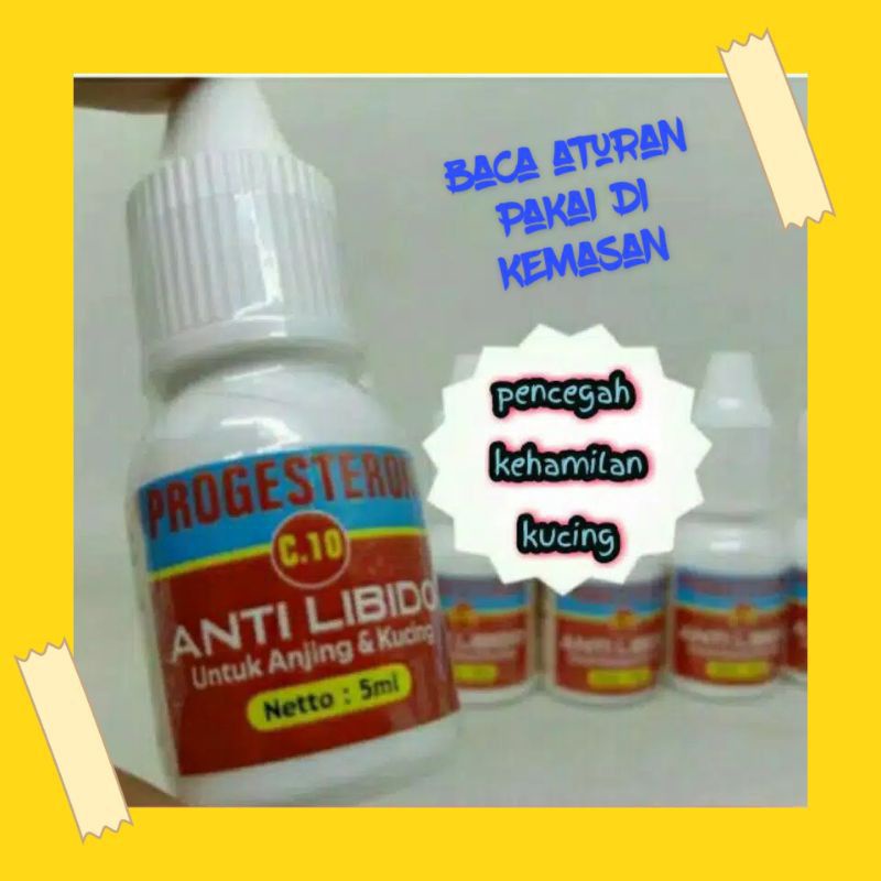 anti libido, anti kehamilan Kucing, KB Kucing