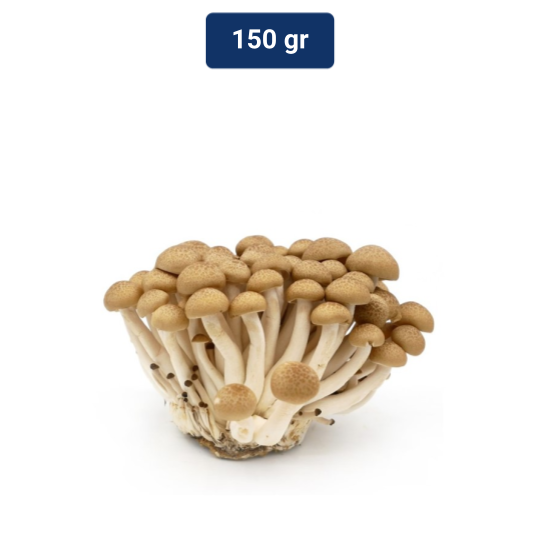 Jamur Shimeji Coklat 150 gr Shopee Indonesia