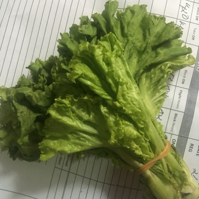 

Selada (perbungkus) 250gram