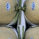 Buah melon jepang/javan fresh manis melon madu per 1 buah
