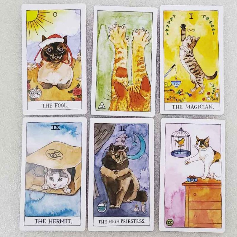 Cat Tarot 12x7cm include guide paper