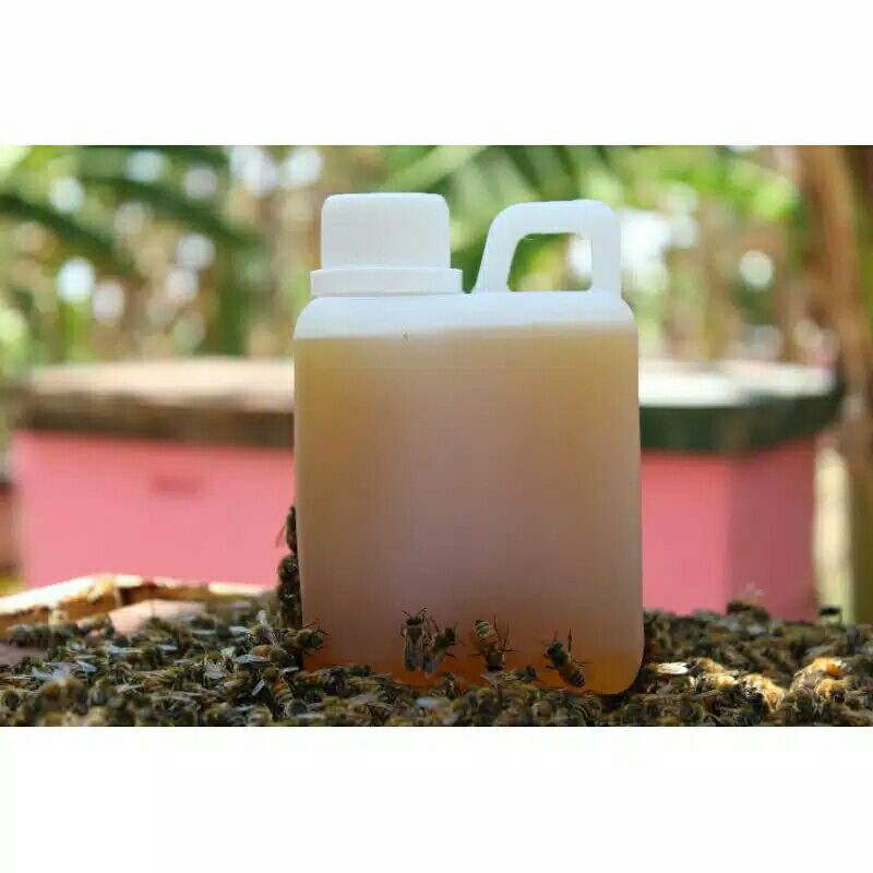 

Madu Murni Multiflora Raw Honey Madu Ternak Asli Pati @ 500 ml
