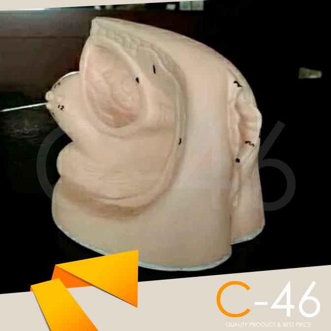 Manekin Kateter Wanita | Manikin Catheter | Phantom Peraga Lokal