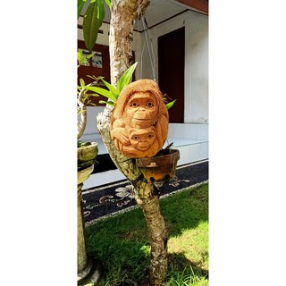 Pot Bunga Pot Pot Plastik Pot Lukis Pot Unik Pot Kaktus Pot Bunga Pot Pot Plastik Pot Lukis Pot Unik Pot Kaktus