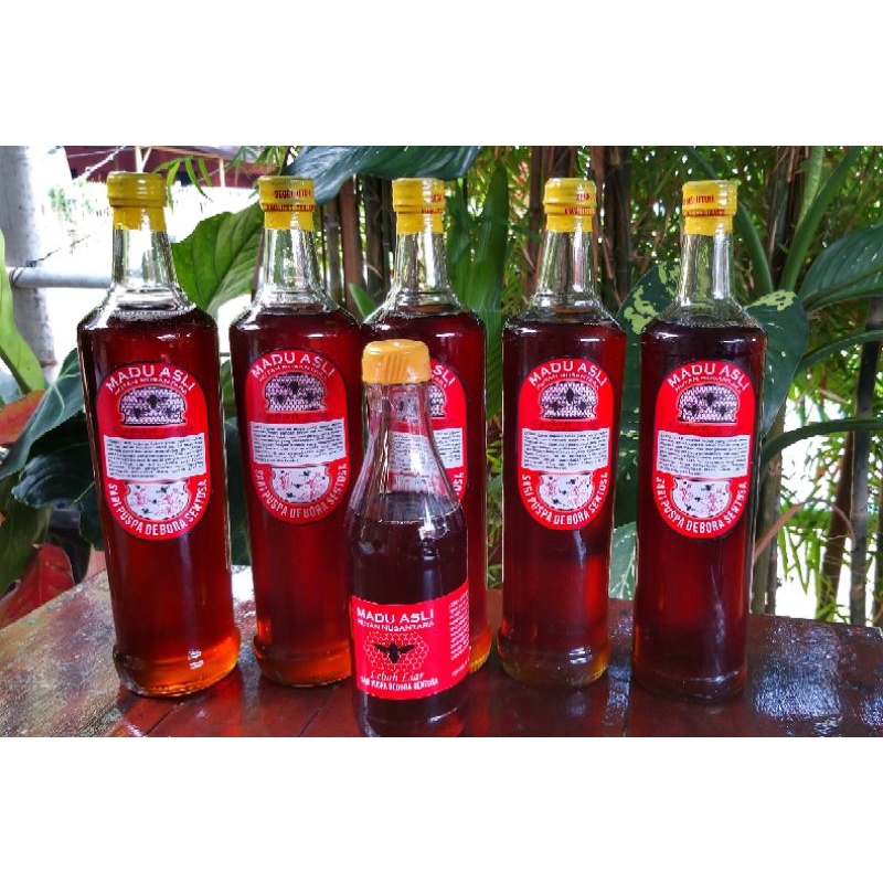 

Madu Lebah Hutan 660ml