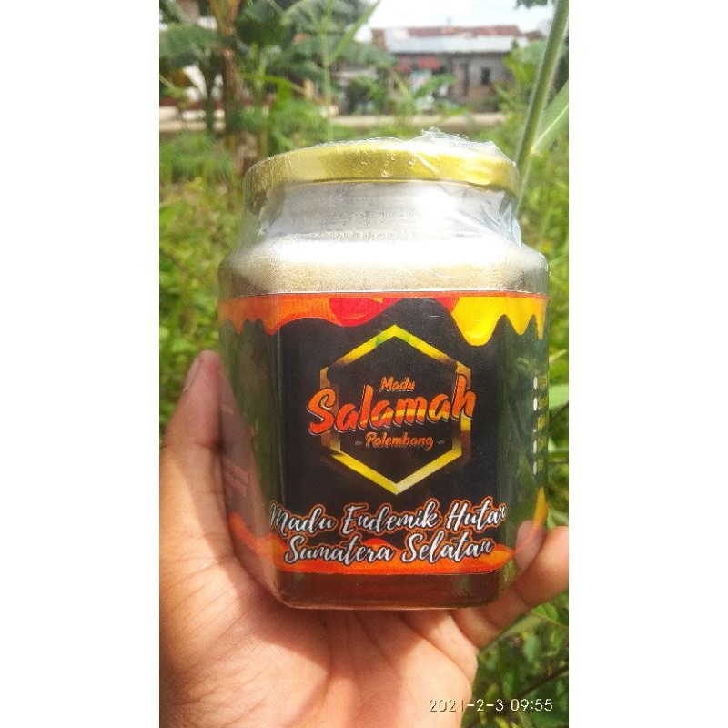 

MADU PAHIT HUTAN ASLI MURNI | 500 GRAM
