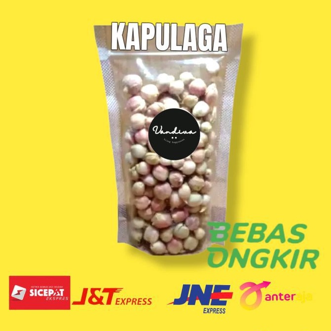 

KAPULAGA REMPAH DAPUR