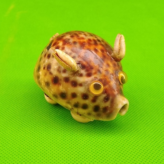 Pajangan Meja Kerang / Patung Kerang / Hiasan Meja Kerang KR01