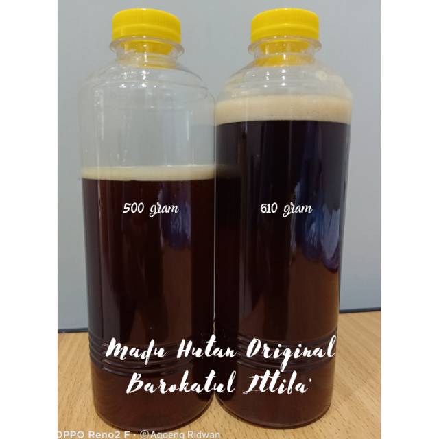 

Madu Hutan Liar 610gram