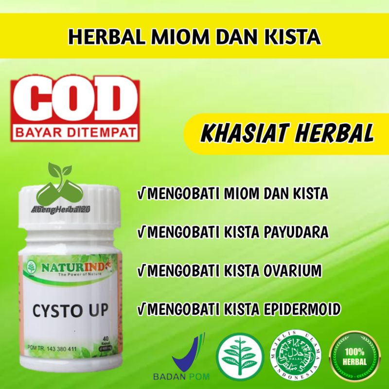 CYSTO UP obat herbal Kista dan miom dengan gejala mudah lelah nyeri bab beser perut kembung-3