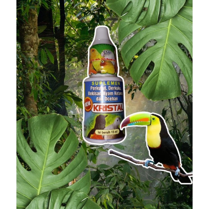 KRISTAL BURUNG DR. EDHI Paket 12 PCS SUPLEMEN VITAMIN BURUNG KICAU VITAMIN BURUNG GACOR