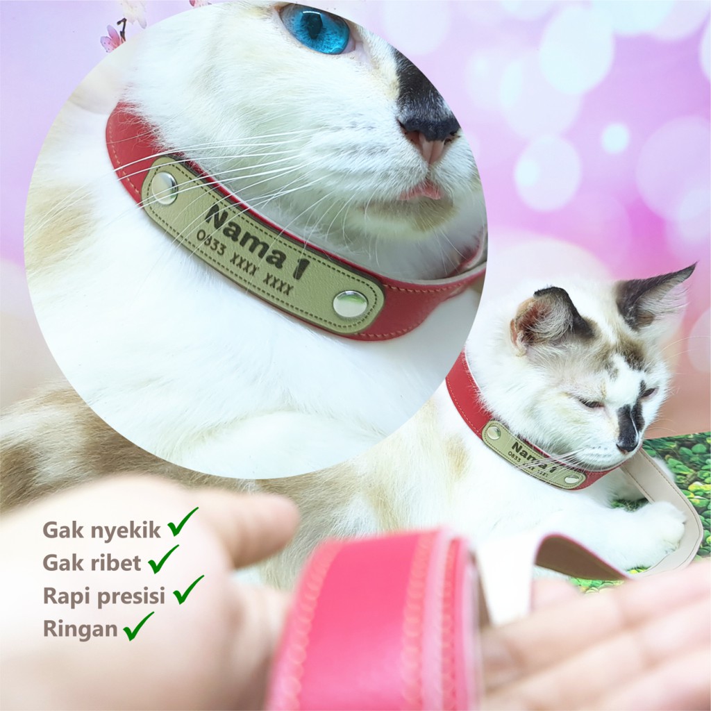 Harness Tali Tuntun Kucing Anjing Custom Nama