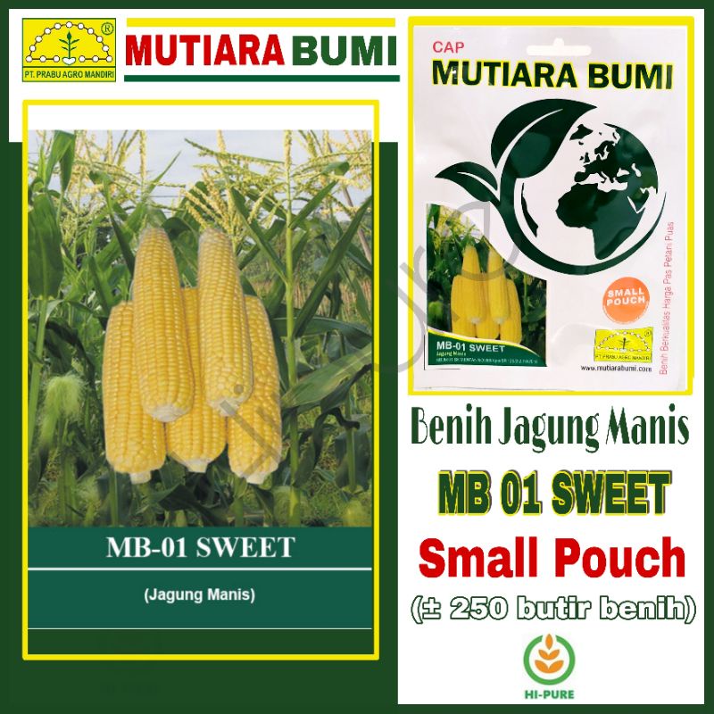 Jual Benih Jagung Manis Sweet Corn Mb Sweet Isi Butir Original