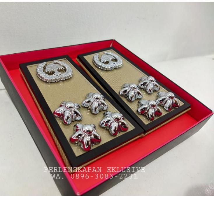 Terbaru.. PANGKAT ASN LAMPUNG 3D - PANGKAT PNS LAMPUNG 3D  FUL MIKA AKRILIK - PANGKAT LAMPUNG - PANG