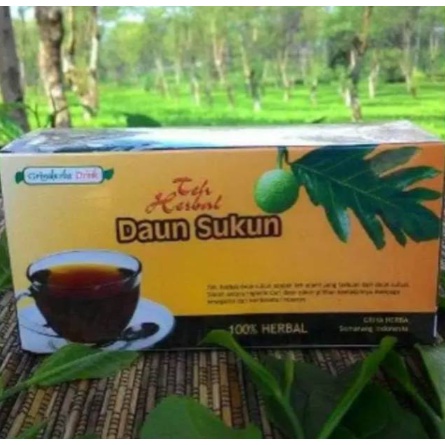 

TEH CELUP HERBAL DAUN SUKUN Obat herbal khasiat ampuh mengobati jantung dan ginjal dengan teh daun sukun alami berkualitas