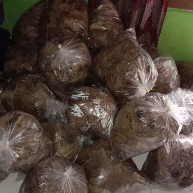 DAUN KETAPANG 1 KG BELUM DIOLAH