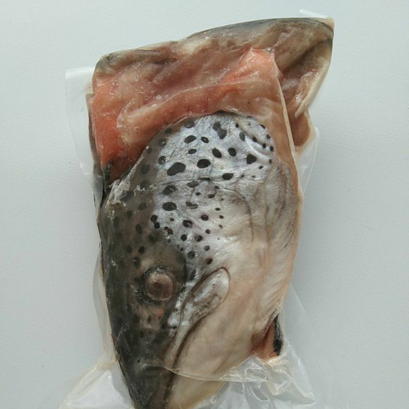 

KEPALA SALMON ISI 2