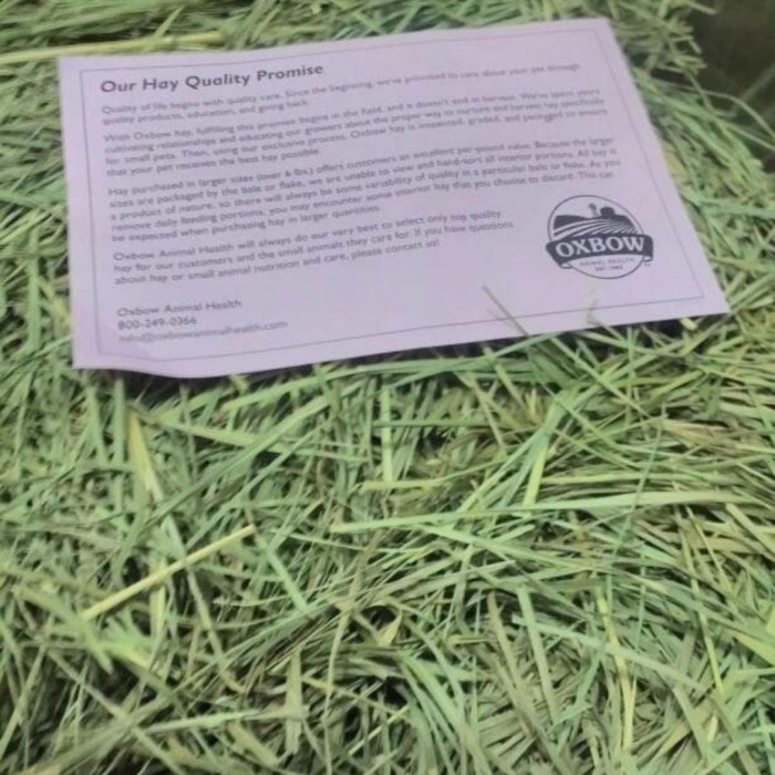 OXBOW ORCHARD Hay 1kg (setara Rumput Timothy) - Makanan Kelinci/Guinea Pigs