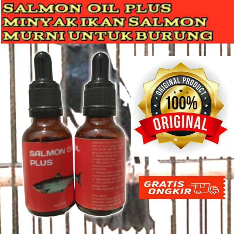 Salmon Oil Plus Asli Minyak Ikan Vitamin Burung Kacer Murai Batu Lolohan Trotolan