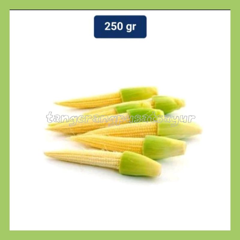 

JAGUNG ACAR / PUTREN / BABY CORN 250gr