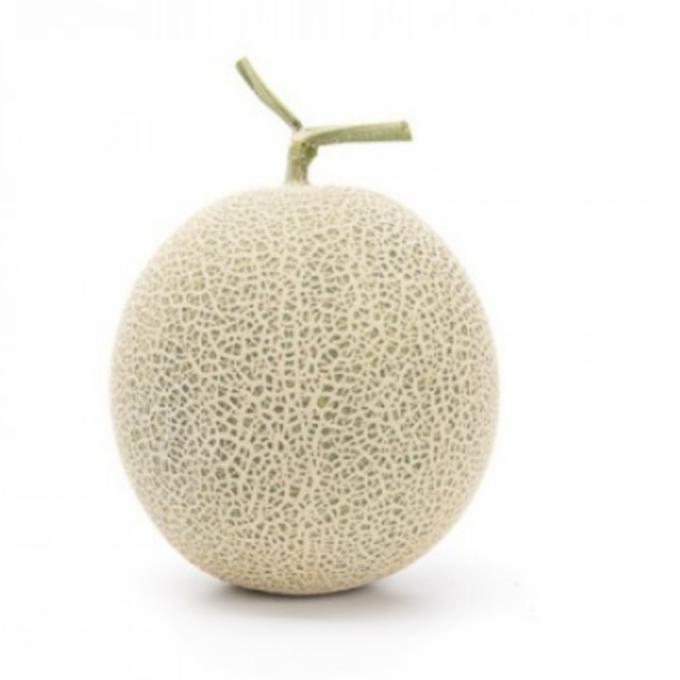 !!!!!!] Benih melon RZ Japanese musk melon - 25 seeds kemasan repacking