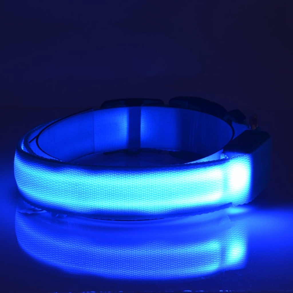 Pet Collar Dog Cat / Tali Kalung Hewan Anjing Kucing Nylon - LED