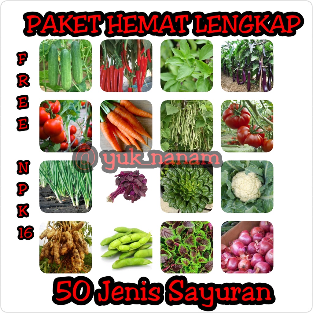 Jual Bibit Sayuran Paket Komplit 50 Macam Benih Sayuran Unggul Kangkung