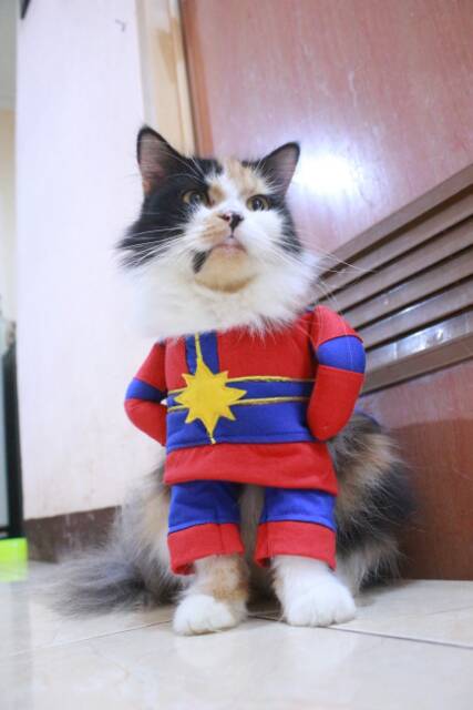 Kostum kapten marvel final untuk kucing dan anjing / baju kucing murah size S M L XL