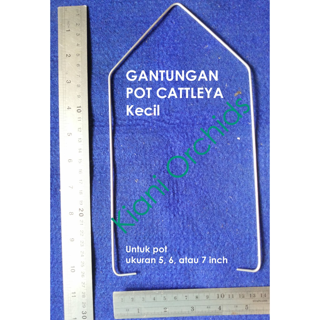 Kawat Gantungan Pot Cattleya Kecil
