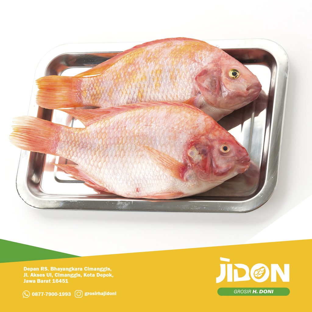 

JUAL IKAN AIR TAWAR/IKAN SEGAR/IKAN NILA MERAH 500gr - 1kg