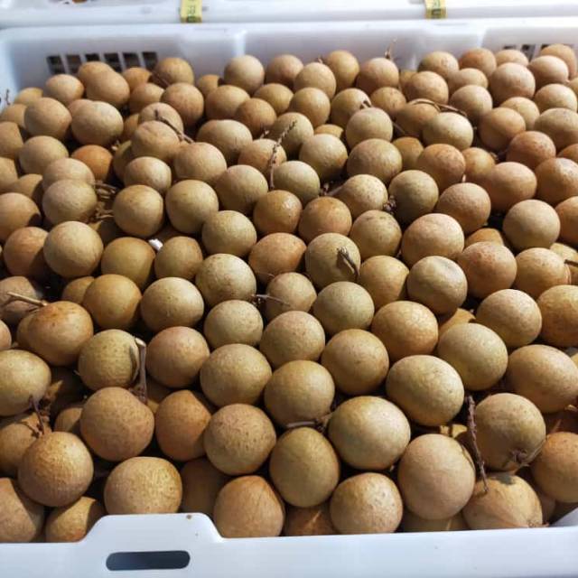 

fresh Kelengkeng 1kg