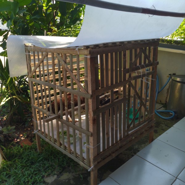 Kandang Ayam Unggas Bambu P70cm Khusus Gosen Grab