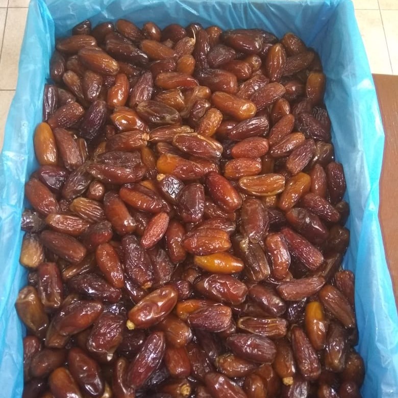 

kurma tunisia madu 250gr non tangkai datte daglet nour