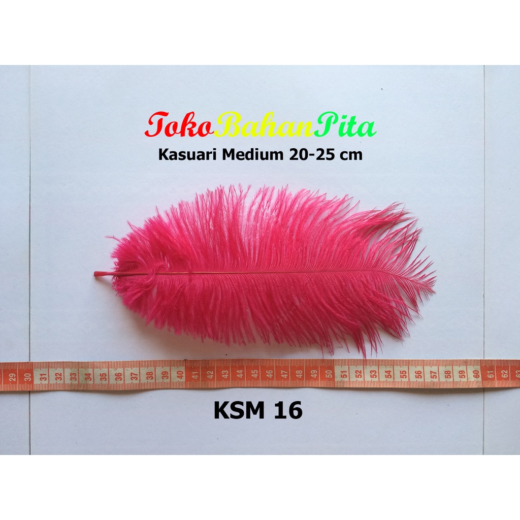 (1 HELAI) BULU DEKORASI 20-25cm KSM 16 | OSTRICH | BULU HIAS | BULU CRAFT | TOKO BAHAN PITA