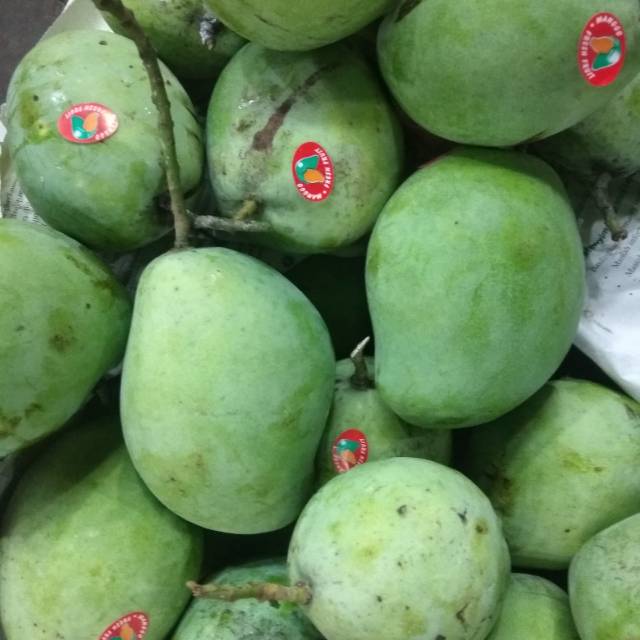 

Mangga darmayu