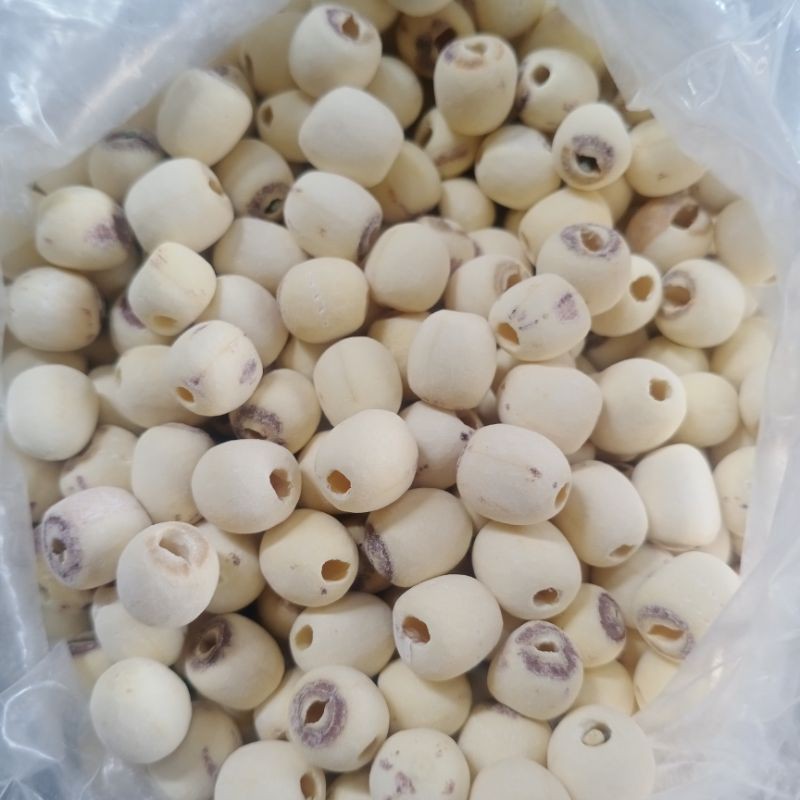 

Biji Teratai Mupi / Lotus Seed / Lienci