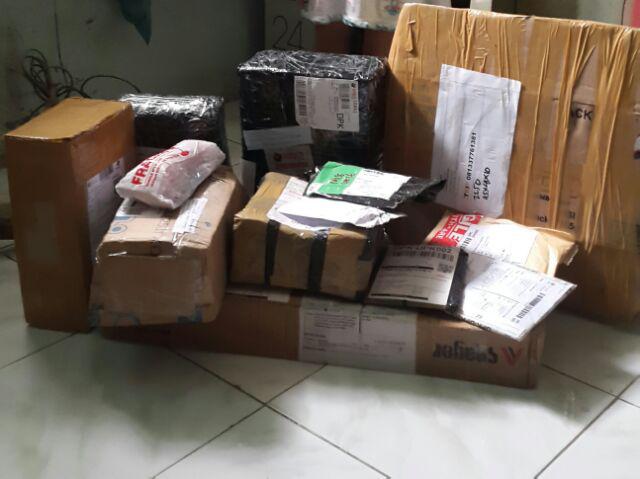 Piring Ikan Golden Sunkist (pip 8030)