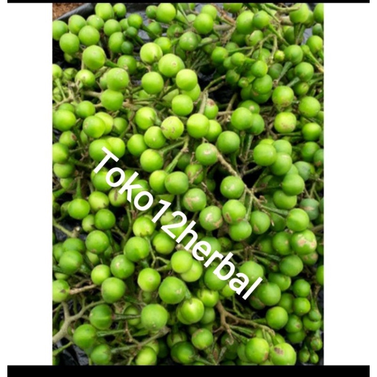 

Terlaris buah takokak 250grm